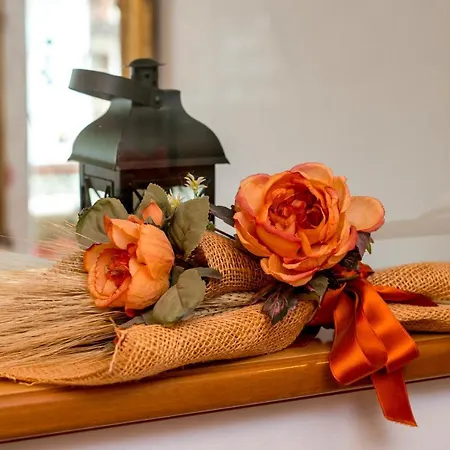 阿拉罗莎酒店 卡纳泽伊